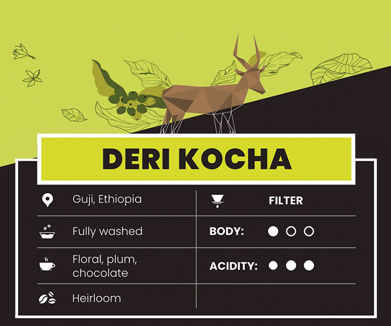 DERI KOCHA