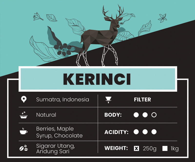 KERINCI